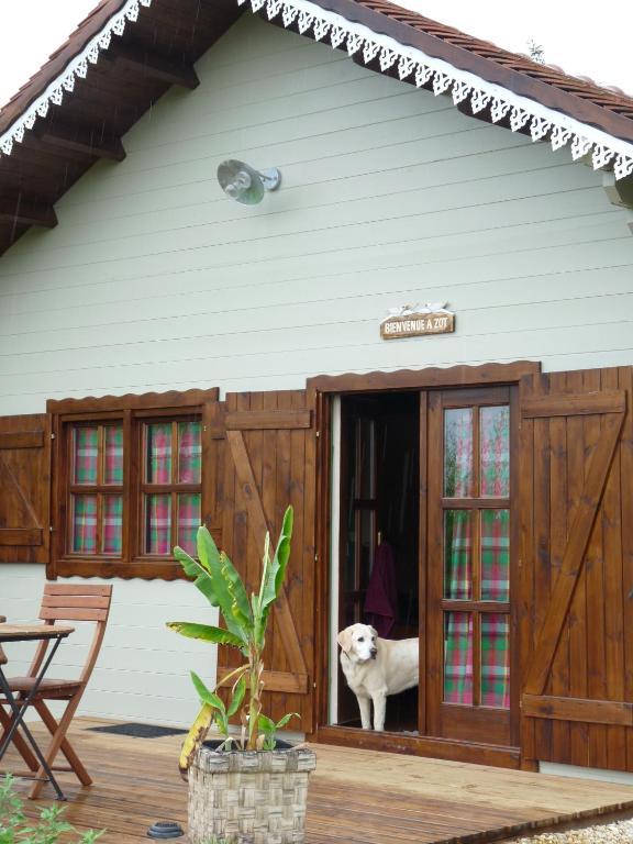 Le Trot'In Chair Bed & Breakfast Martigny-le-Comte Room photo