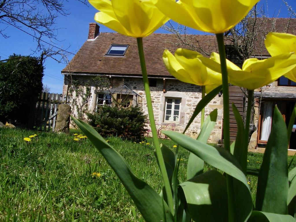 Le Trot'In Chair Bed & Breakfast Martigny-le-Comte Exterior photo